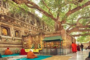 Varanasi - Bodh Gaya 
